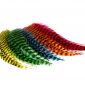 Plumes Streamers DVX Grizzly