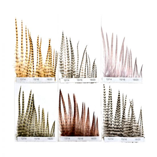 HACKLES GENETIC GRIZZLY