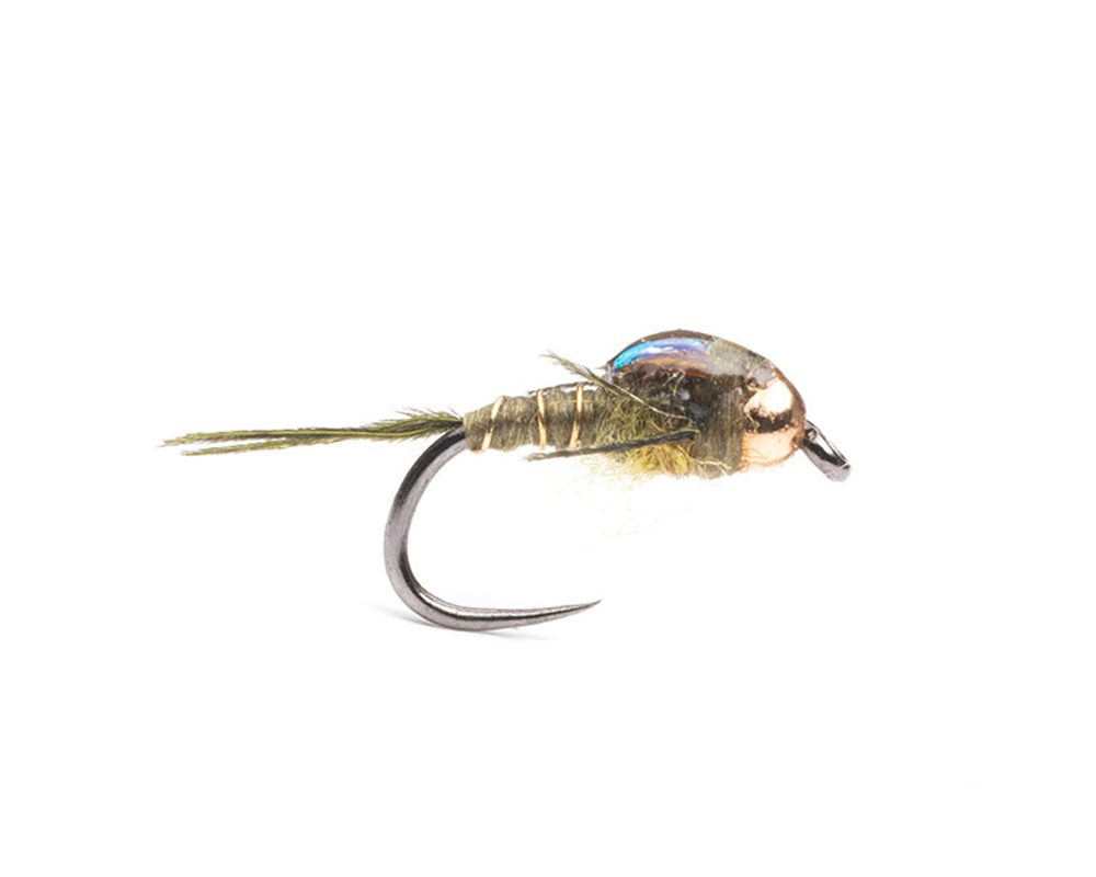 JBNT54 H14 a 20 BL 1