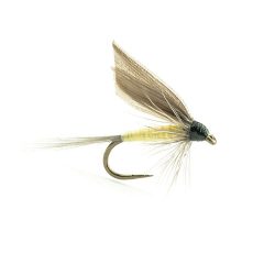 ORNANS 01 H16 et 18 2