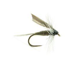 ORNANS 02 H16 et 18 2