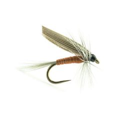 ORNANS 03 H16 et 18 2