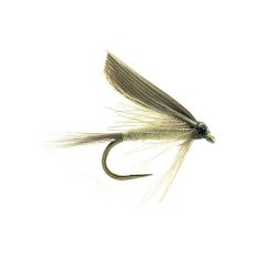 ORNANS 05 H16 et 18 2