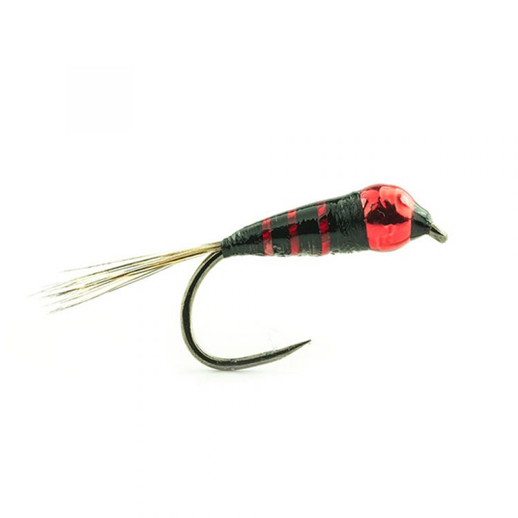 PERDI 05 H14 et 16 2