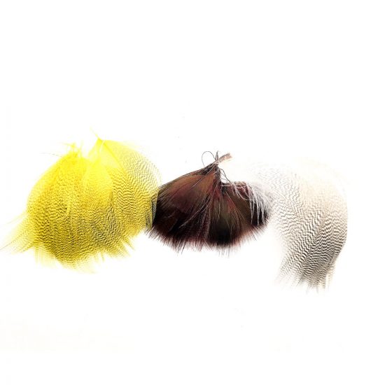 PLUME FLANC DE CANARD Modifier