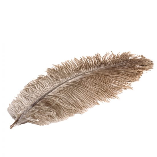 PLUMES D’AUTRUCHE NATUREL