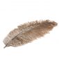 PLUMES D’AUTRUCHE NATUREL