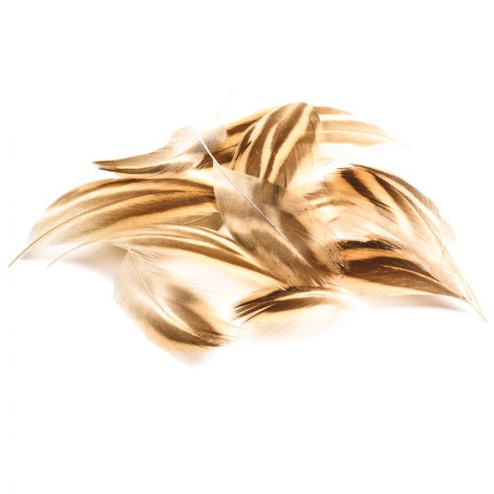 PLUMES FLANC DE CANE + POITRAIL