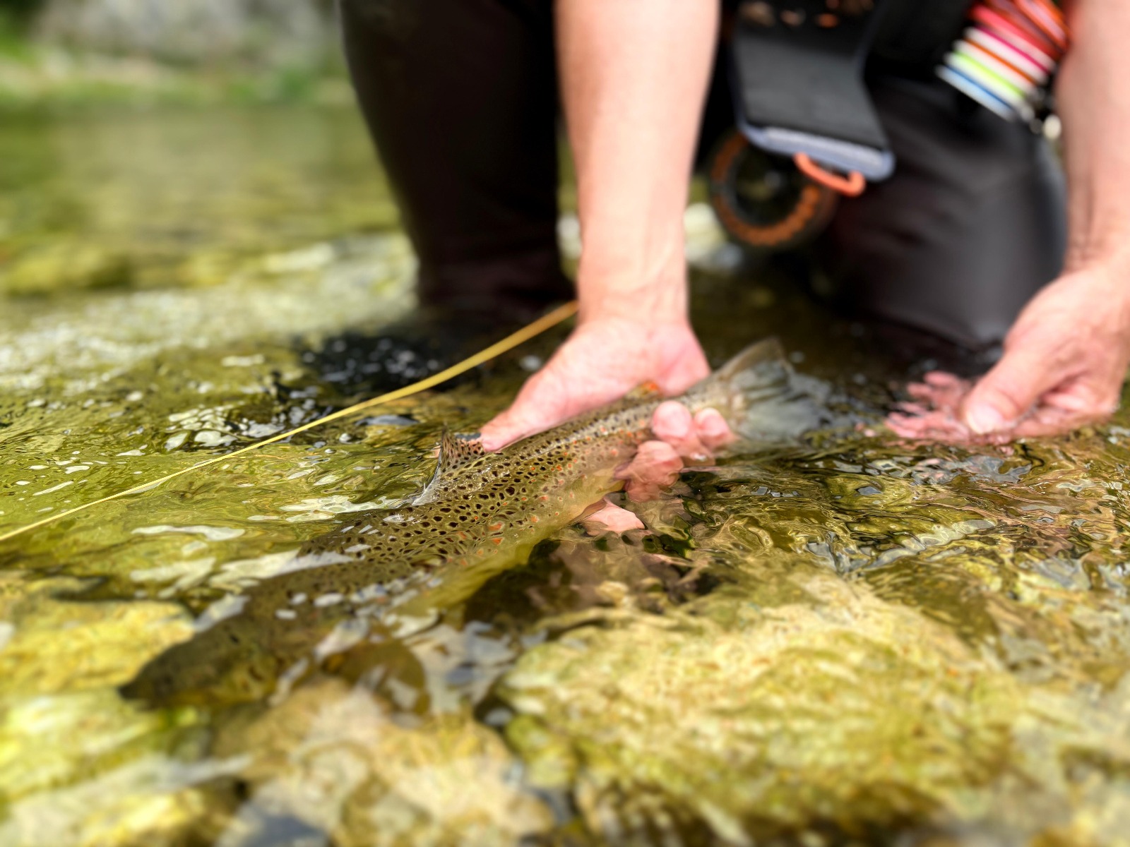 Académie Devaux France 2025