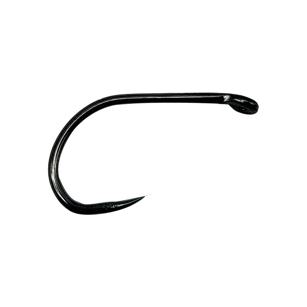 DX 1000 e1764918483190