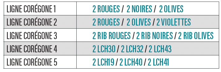 Lignes Corégones Mouches Devaux Lignes Corégones